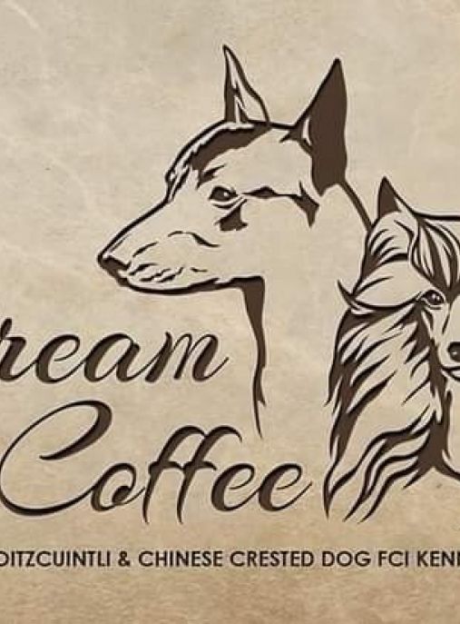 Dream Of Coffee FCI