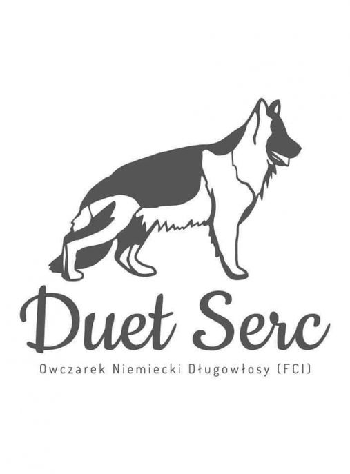 Duet Serc FCI 