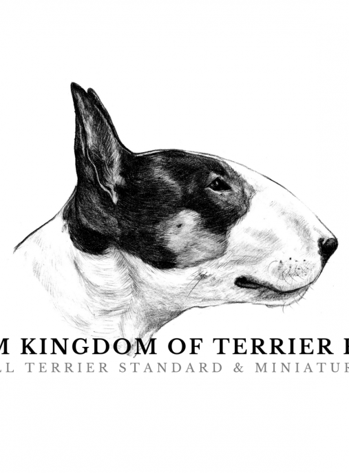 E M Kingdom of Terrier FCI