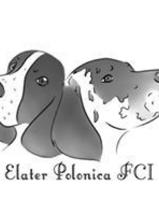 Elater Polonica FCI