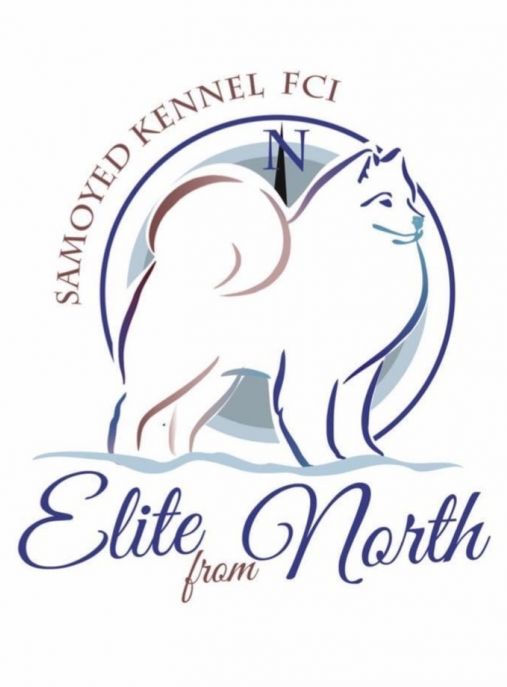 Elite from North Samoyeds Kennel FCI