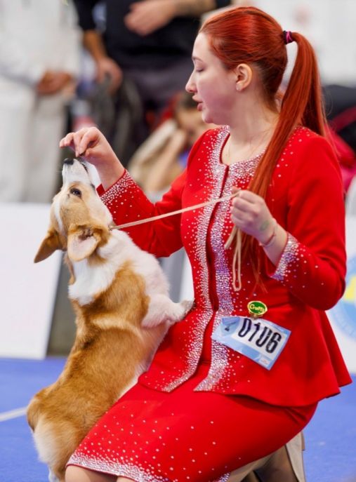 Elmas Kara Denis Asgard