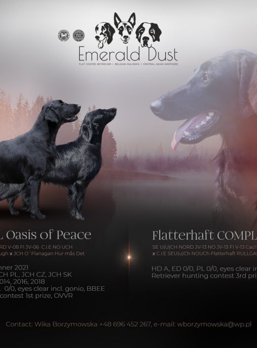 Emerald Dust FCI