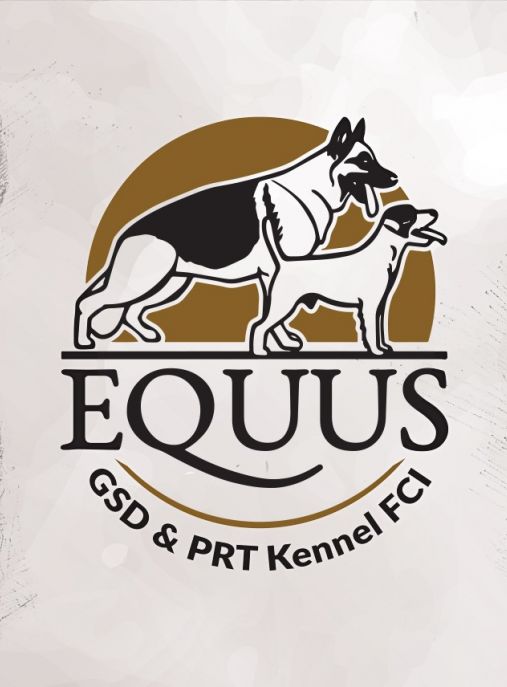 Equus