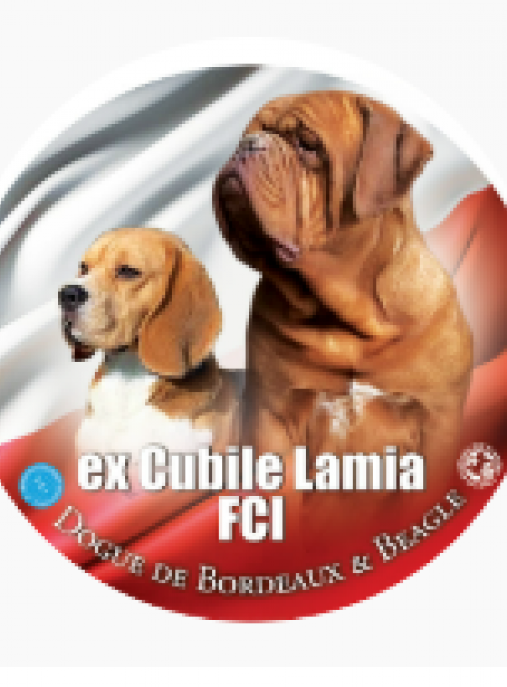 ex Cubile Lamia FCI