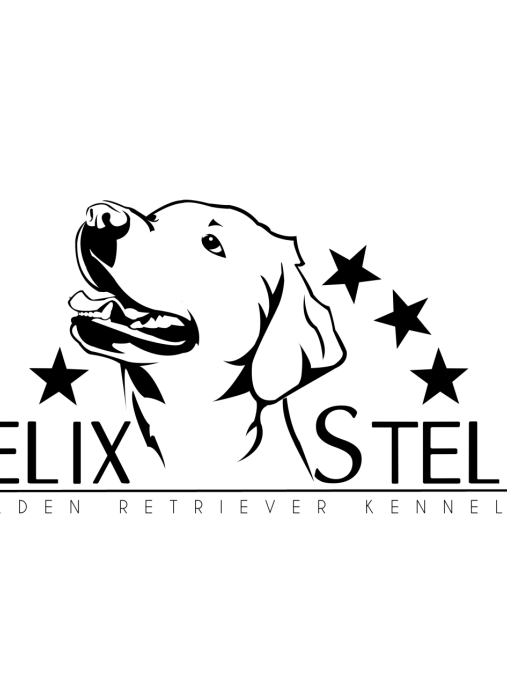 Felix Stella FCI 