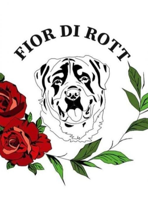 Fior di Rott 