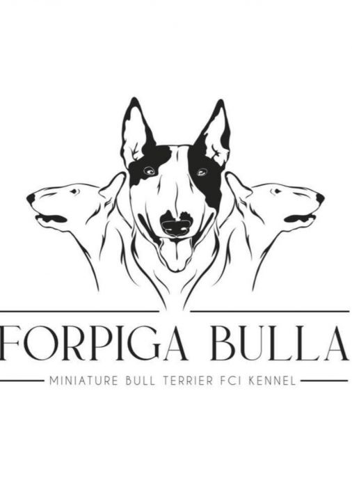Forpiga Bulla FCI