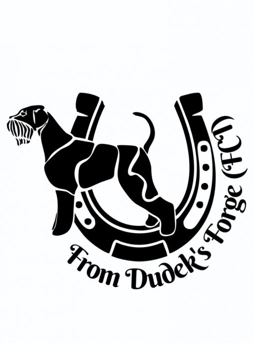 from Dudek's Forge (FCI)