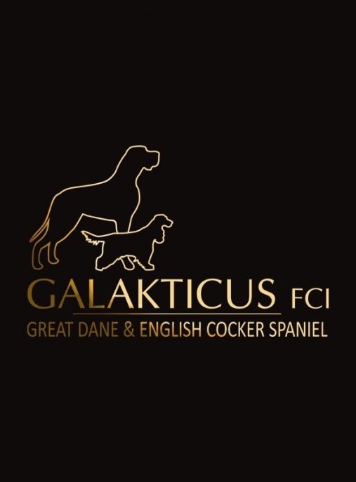 Galakticus