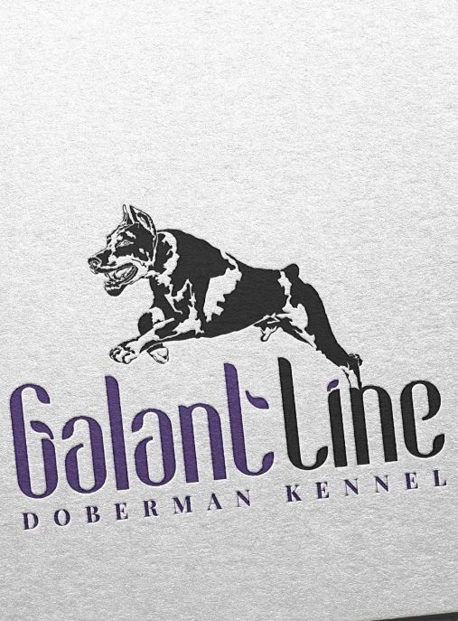 Galant Line