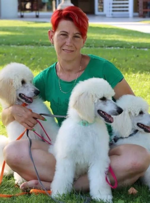 Giant Miracles Poodle Kennel