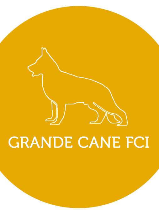 GRANDE CANE FCI