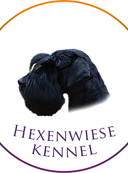Hexenwiese