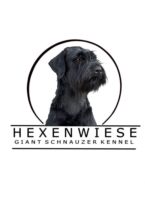 Hexenwiese