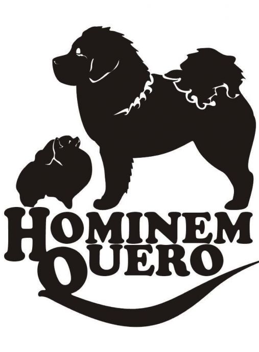 Hominem Quero 