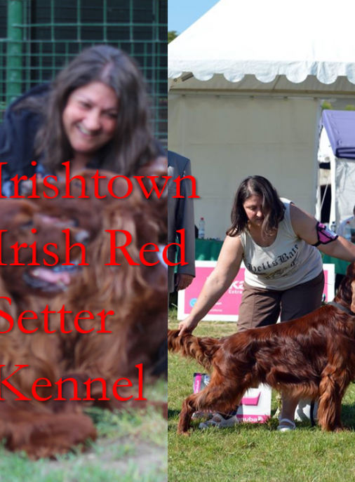 Irishtown kennel