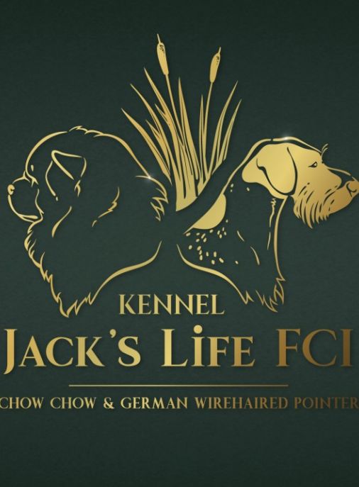 Jack's Life FCI 