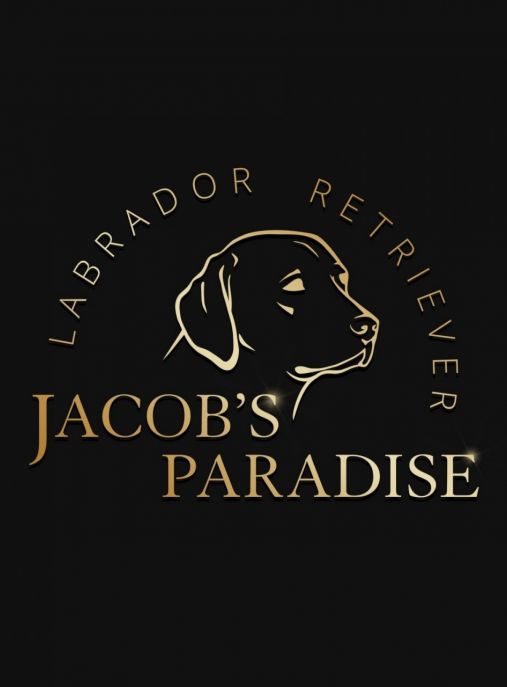 Jacob's Paradise