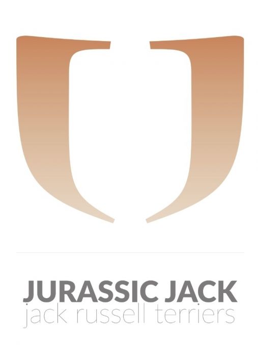 JURASSIC JACK FCI 