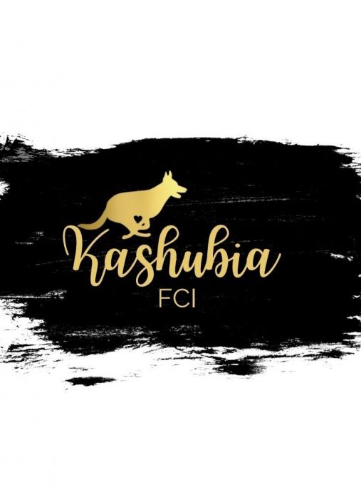 Kashubia FCI Hodowla Psów Rasowych