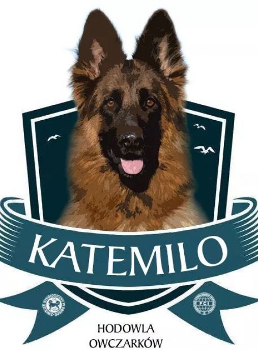 Katemilo 