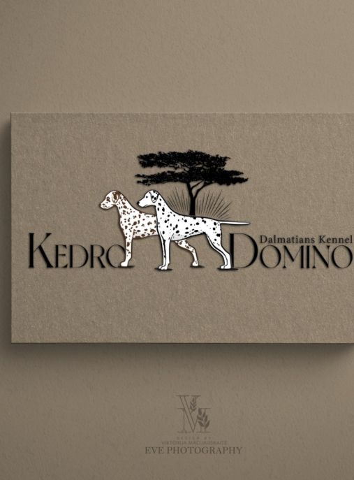 KEDRO DOMINO