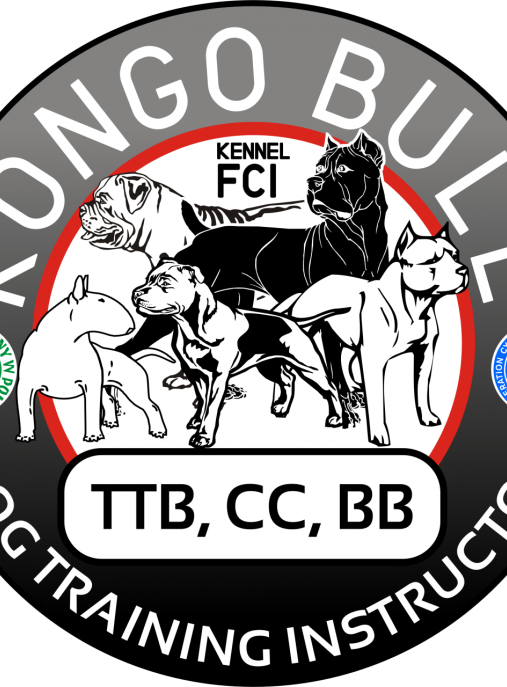 Kongo Bull FCI