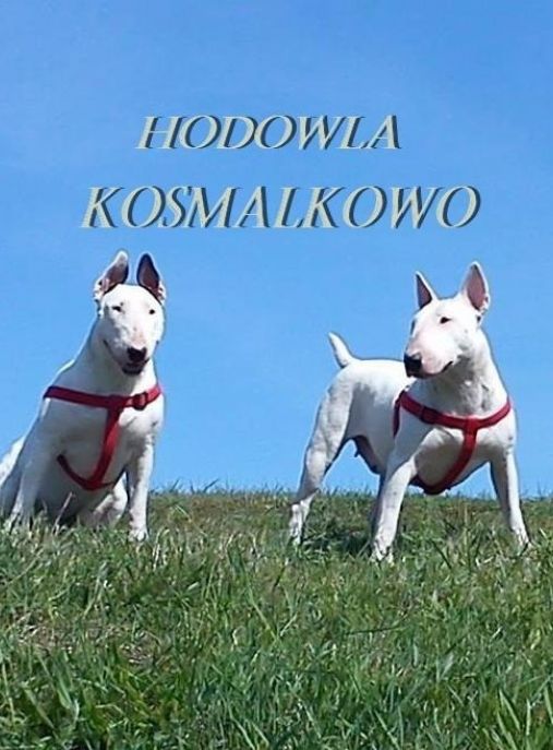 Kosmalkowo