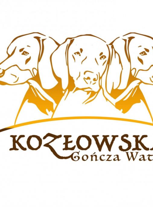 Kozłowska Gończa Wataha FCI 