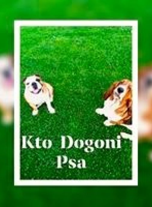 Kto Dogoni Psa 