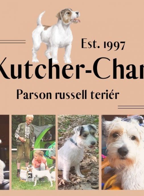 Kutcher-Chan