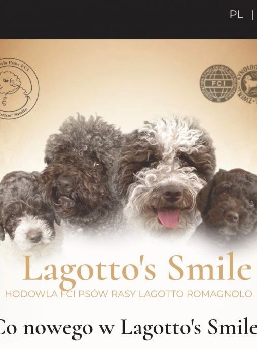 Lagotto’s Smile