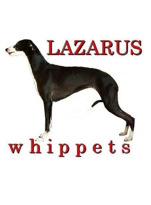 Lazarus