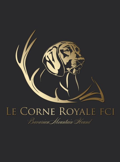 Le Corne Royale FCI