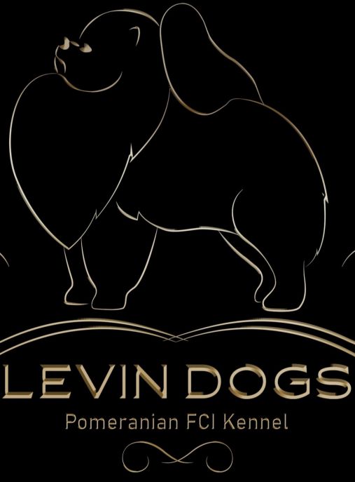 Levin Dogs FCI 