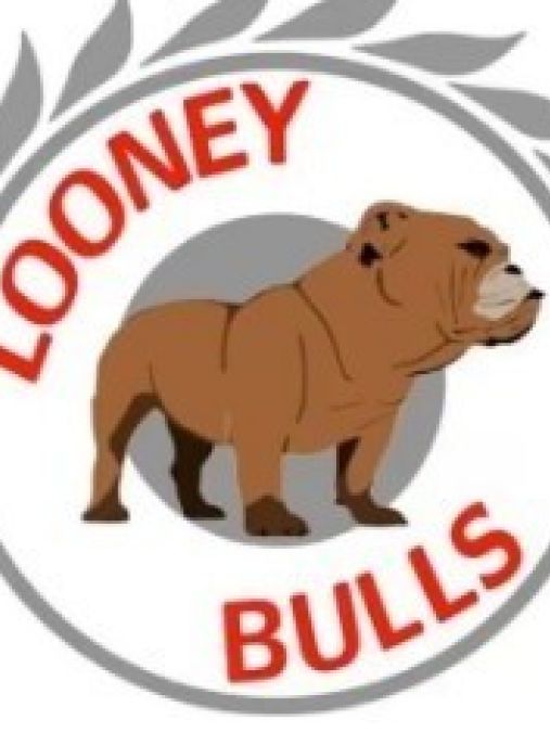 Looney bulls