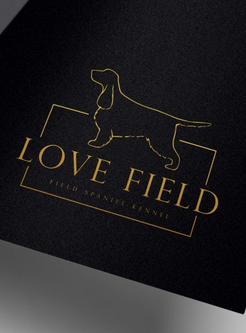 Love Field