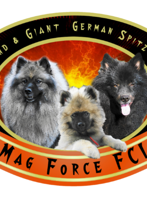 Mag Force FCI