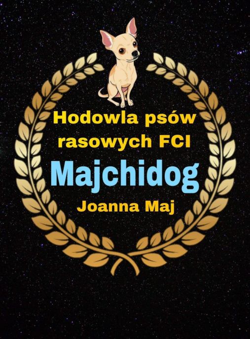 Majchidog