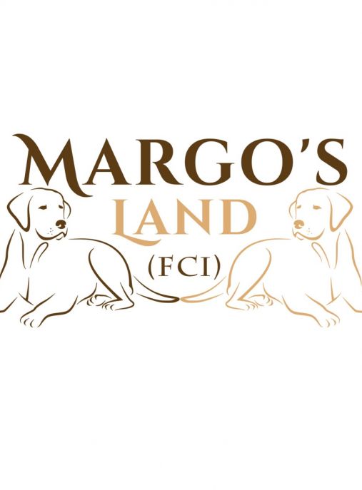 Margo's Land