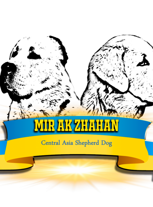 Mir Ak Zhahan