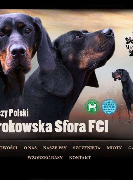 Mrokowska Sfora FCI