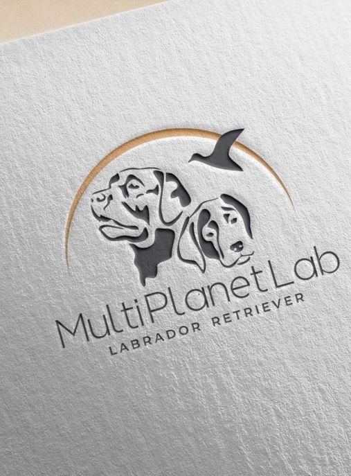 Multi Planet Lab FCI