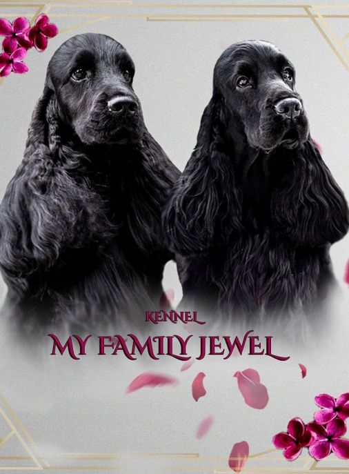 My Family Jewel