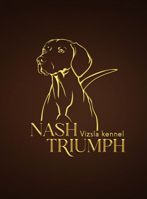 NASH TRIUMPH
