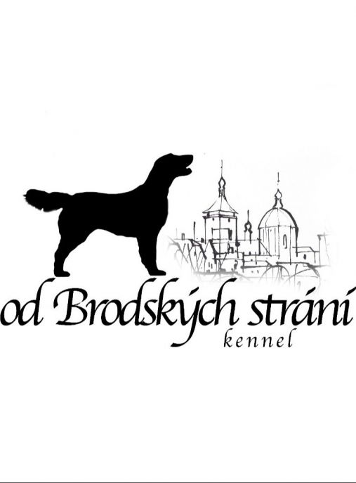 od Brodských strání
