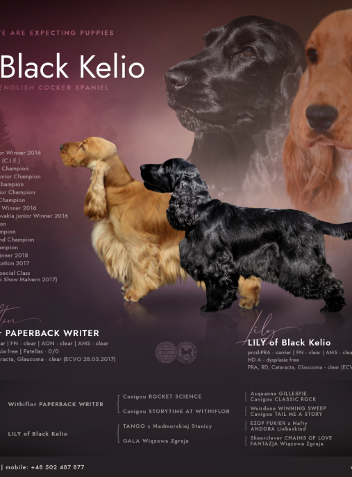 of Black Kelio