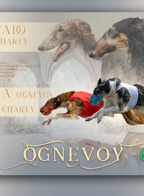 Ognevoy