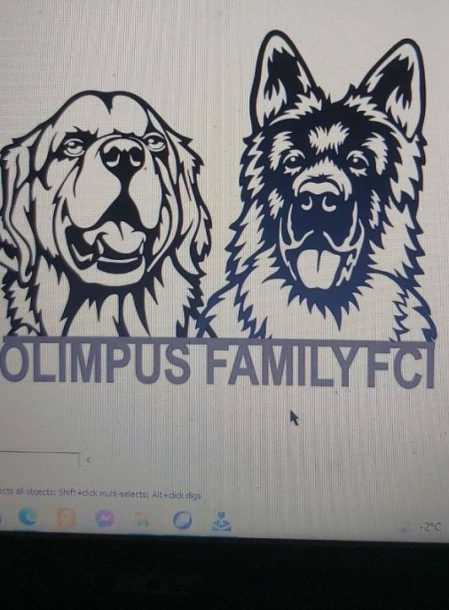OLIMPUS FAMILY FCI 